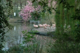 Artis Zoo i Amsterdam